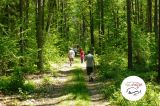 Nordic walking V - Majdy - zdjęcie 5