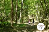 Nordic walking V - Majdy - zdjęcie 7