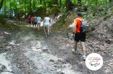 Nordic Walking VI - Bartążek - zdjęcie 6