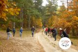 Relacja Nordic Walking IX - Gryźliny - zdjęcie 5