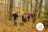Nordic Walking X - Stawiguda - zdjęcie 6
