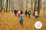 Nordic Walking X - Stawiguda - zdjęcie 9