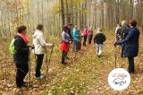 Nordic Walking X - Stawiguda - zdjęcie 10