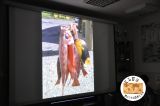 Spotkania podróżnicze - 20 marca 2014 - zdjęcie 9