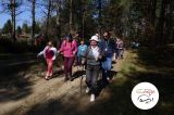Wycieczki z przewodnikiem - 30 marca - Stawiguda - zdjęcie 11