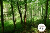 Wycieczki rowerowe - 18 maja 2014 - Ruś - zdjęcie 8