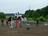 Zawody jeździeckie - 14 czerwca 2014 - Tomaszkowo - zdjęcie 17
