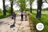 III wycieczka z przewodnikiem Gościńcem Niborskim - 25 maja 2014 r. - zdjęcie 5