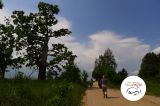 III wycieczka z przewodnikiem Gościńcem Niborskim - 25 maja 2014 r. - zdjęcie 9