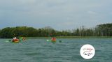 II spływ kajakowy - 27 lipca 2014 r. - jezioro Wulpińskie - zdjęcie 20