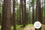 VII marsz nordic walking w Stawigudzie 05.07.2014 r. - zdjęcie 10
