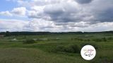 IV wycieczka rowerowa - 17 sierpnia 2014 r. - Gryźliny - zdjęcie 18