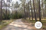 V wycieczka z przewodnikiem - 21 września 2014 r. - Orzechowo - zdjęcie 11
