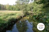 V wycieczka z przewodnikiem - 21 września 2014 r. - Orzechowo - zdjęcie 14