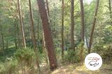 V wycieczka z przewodnikiem - 21 września 2014 r. - Orzechowo - zdjęcie 43