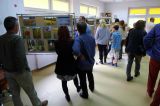 Wulpińskie Klimaty - 11 października 2014 r. - zdjęcie 15