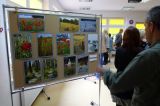 Wulpińskie Klimaty - 11 października 2014 r. - zdjęcie 16