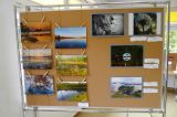 Wulpińskie Klimaty - 11 października 2014 r. - zdjęcie 8