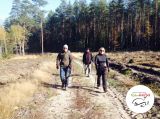 XI marsz nordic walking - 25 października 2014 - Majdy - zdjęcie 5