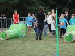 Fotorelacja - zdjęcie 278