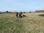 Ćwiczenia OSP galeria - zdjęcie 16