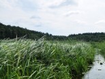 II spływ kajakowy Marózką 15.07.2018 - zdjęcie 10