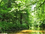II spływ kajakowy Marózką 15.07.2018 - zdjęcie 16