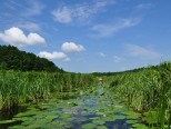 II spływ kajakowy Marózką 15.07.2018 - zdjęcie 8