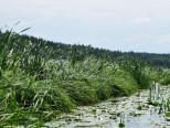 II spływ kajakowy Marózką 15.07.2018 - zdjęcie 9