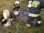 Szkolenie przeciwpowodziowe druhów OSP - zdjęcie 15