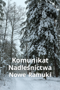 Komunikat Nadleśnictwa Nowego Ramuki