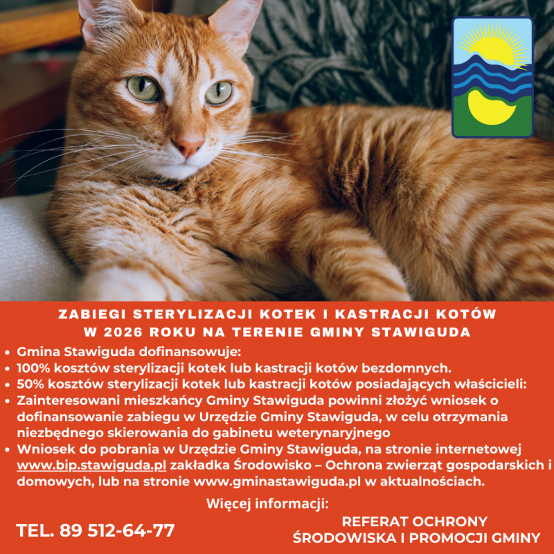 Kontynuacja akcji sterylizacji kotek i kastracji kotów na terenie Gminy Stawiguda