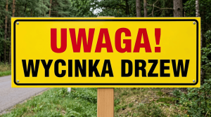Uwaga! Wycinka drzew w Sołectwie Bartąg