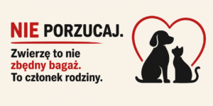 Nie porzucaj. Zwierzę to nie zbędny bagaż. To członek rodziny.